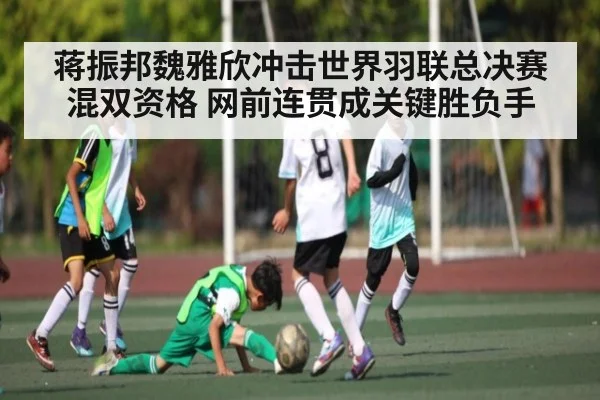 蒋振邦魏雅欣冲击世界羽联总决赛混双资格 网前连贯成关键胜负手